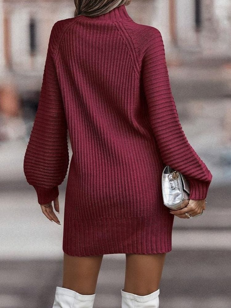 Buddhatrends Turtleneck Knitted Sweater Dress